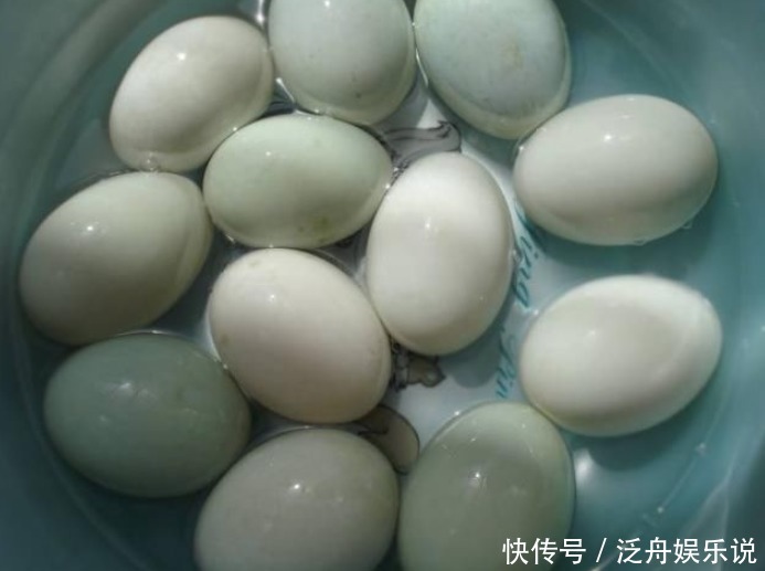 加盐|腌咸鸭蛋,只加盐可不行,多做2步,1周就腌好,个个起沙还流油