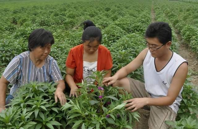 |985大学生，活成一个“笑话”，父母：砸锅卖铁供他读书错了吗