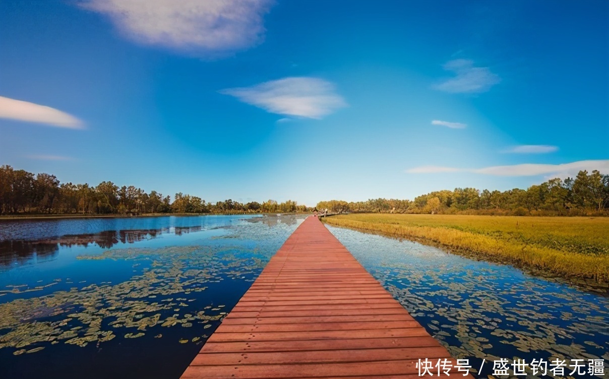 春季钓鱼注意这两点,多种技巧相结合,收获才能更多——盛世三渔