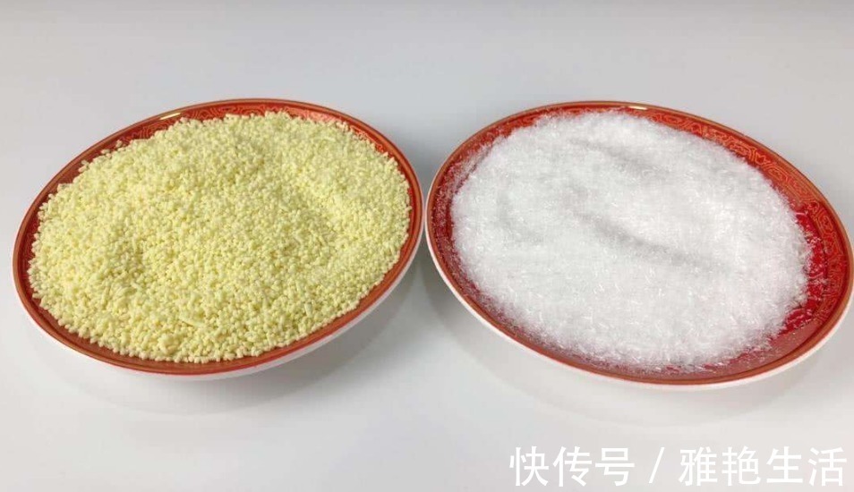 核苷酸|鸡精和味精到底哪种危害大好多人都错了,看完后明白了别再乱买