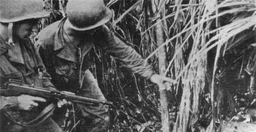 兰里岛|兰里岛之战千名日军进入红树林,仅有500人走出,鳄鱼意外立功