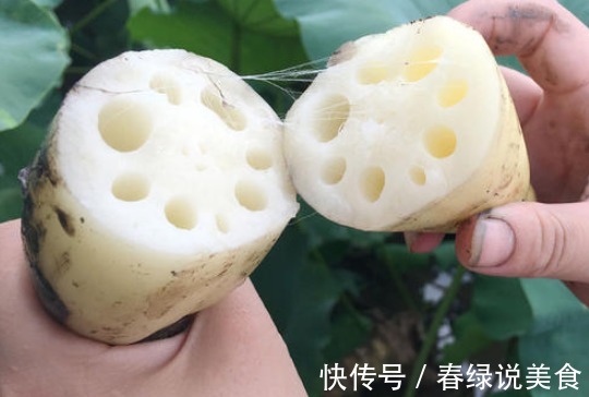莲藕有“红花白花”之分,口感做法区别大,买错不好吃,涨知识了