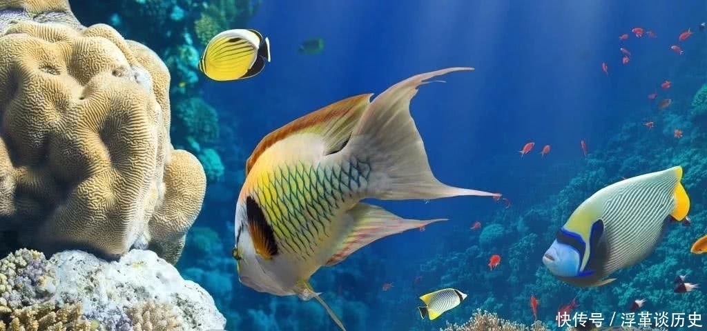 相濡以沫,不若相忘于江湖,你找到自己的江湖了吗?