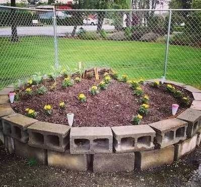 制作|朋友用生活废料制作的花床,都不用两百块