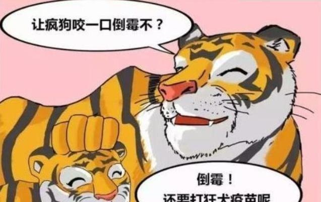 |搞笑漫画 森林之王居然会对一条狗礼让有加！