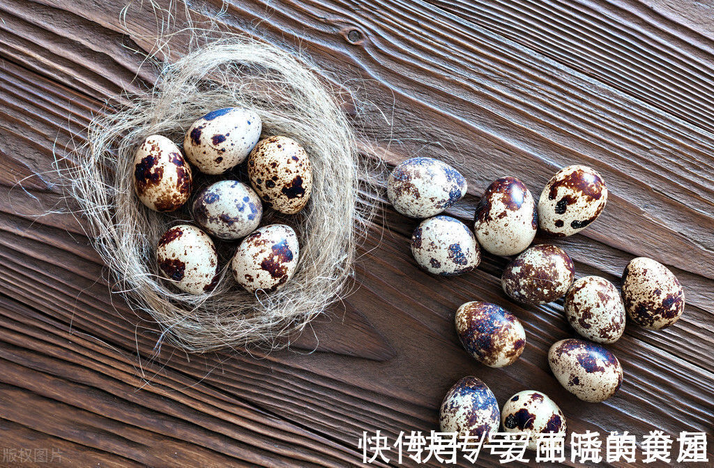 食用盐|入秋后,女人要多吃这3种食材,黄体酮含量丰富,价格亲民