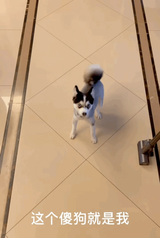 |今日笑话:关于前任,男生和女生不同看法