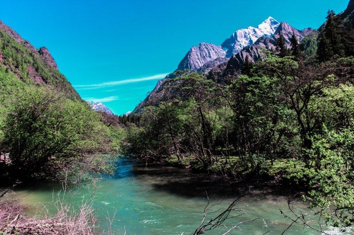 枯树滩|东方圣山，户外天堂——四姑娘山自驾徒步之旅