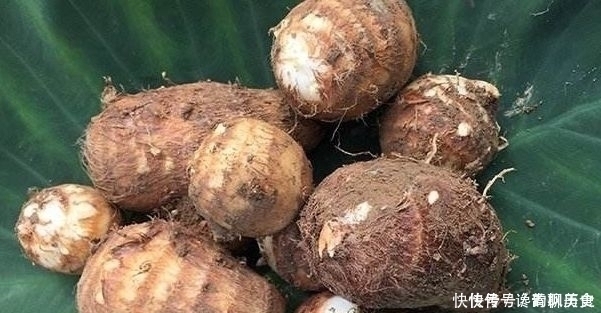 白砂糖|大量上市!人人嫌它长得丑,却不知是治百病的良药!老人孩子都爱吃