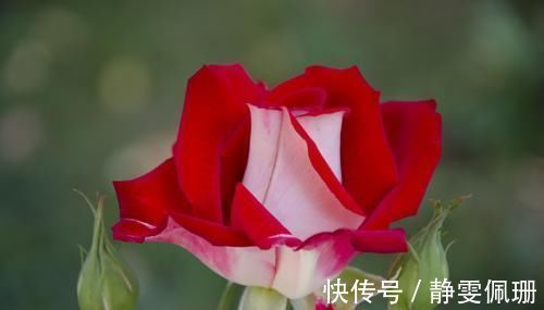 骨骼|关于男生的身高问题,大家一起来来讨论下!