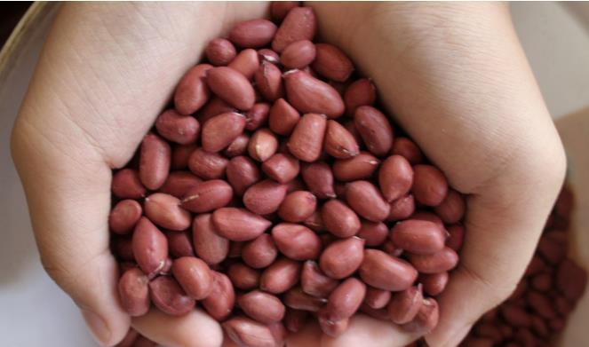 肠道|这4种食物,肠道最喜欢了!