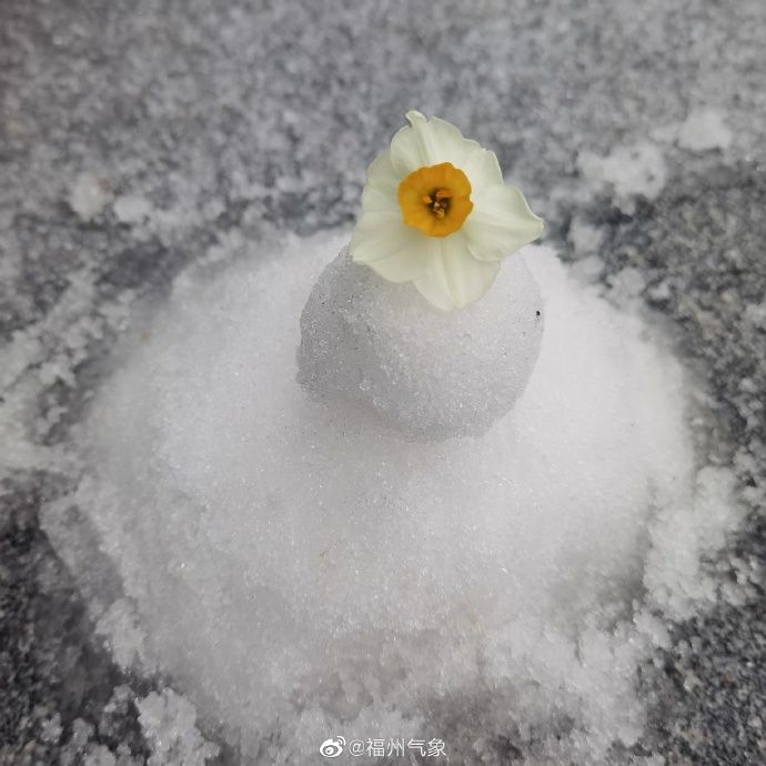 雪人|福州人堆起雪人有多认真？