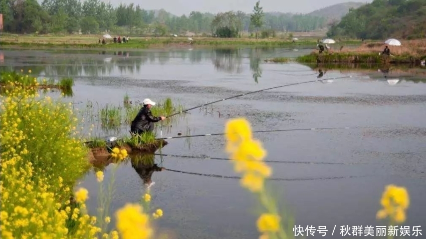 春天一到，鱼反而不好钓？按我说的这四点做，上鱼速度杠杠的。