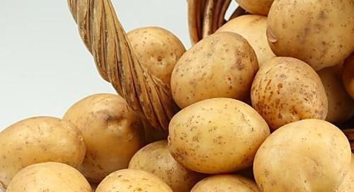 土豆与此物是天生的“克星”,不能共同食用,现在了解还不晚!