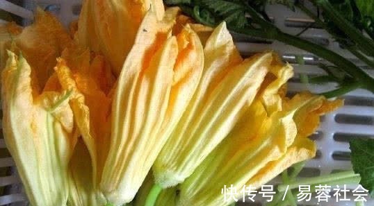 果蔬菜|越吃越年轻的食物,秋天莫错过,美容养颜,袪皱淡斑,远离便秘