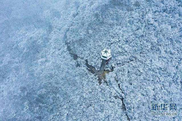 冰瀑|雪山冰瀑雾凇同框，云台山迎来今年首场大雪似仙境