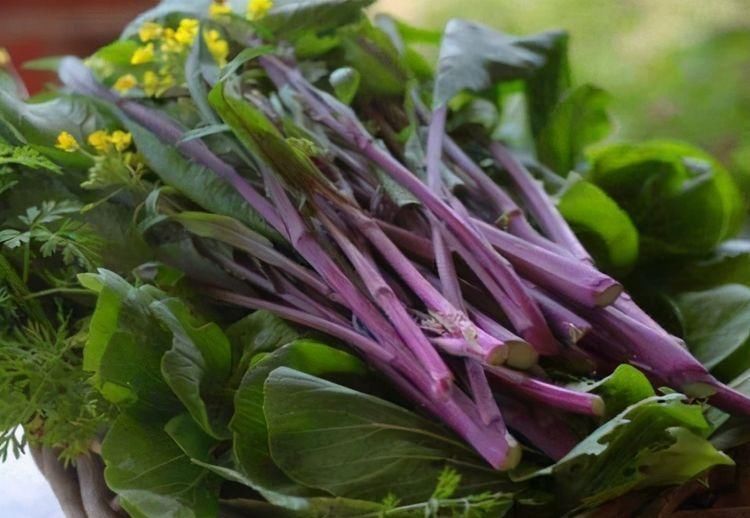 對(duì)身體不錯(cuò)的3種食物，堅(jiān)持每天吃一些，補(bǔ)充營(yíng)養(yǎng)，身體棒棒噠！