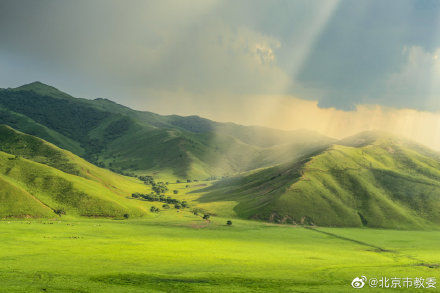 绿色|你知道吗,其实看绿色并不能缓解眼疲劳