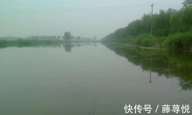 早春钓鱼,这种天气才是“爆护”良机,遇上了一定别错过