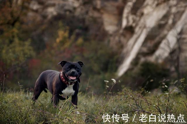 戴耳塞|15个颠覆认知的冷知识