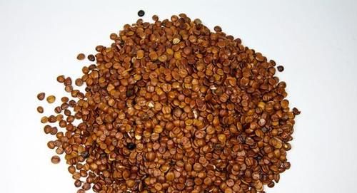 气血|秋天不养，一年白忙！到了秋季，几个简单的养生宜忌，一定要知道