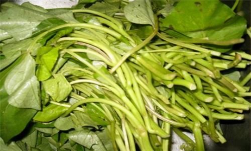 陈医师|想长寿要先会吃,3种食物不可少,补充营养,提高免疫力!