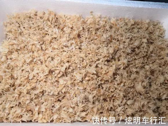 君子兰|3种“碎渣渣”,是养花的好材料,掺土里花儿蹭蹭长,开爆盆!