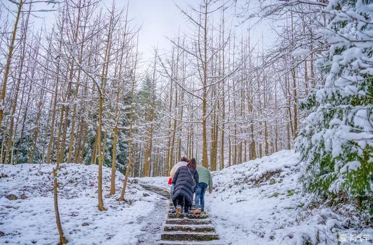 没有门票！无需登山！1天打来回的冷门耍雪地