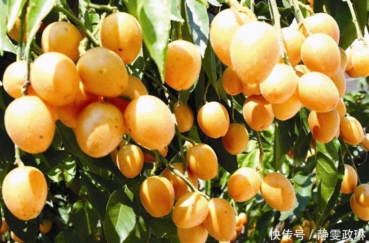 健康长寿|女性不愿变黄脸婆,推荐多吃3种食物,营养丰富,早吃早好