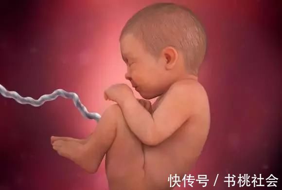 孕妈|子宫内胎儿0~40周,发育变化全过程,太神奇了!