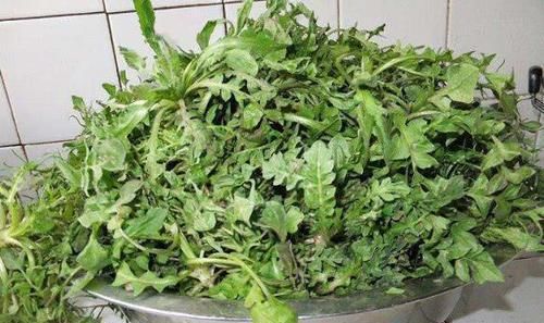月经量少老得快? 不用慌, 每天吃这几种食物, 经血自然多起来!