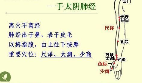 按摩|经络养生，给你意想不到的效果！