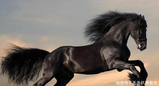 草包|中国古代七大宝马，照夜玉狮子只排第七，排第一的主人是个大草包