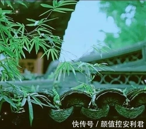 意气君@习练太极拳,要明白“意气君来骨肉臣”这句话的含义