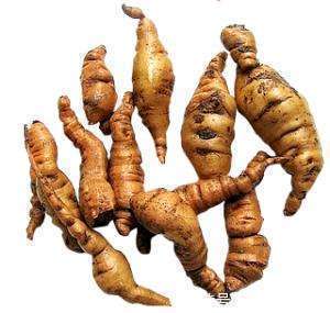 生地|农村这种野草，李时珍称它“服之面如桃花，轻身不老”！你见过么