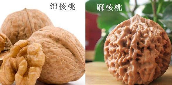 棉核桃&万物皆可盘：一对纸皮核桃，耗时9年时间，包浆后太美了