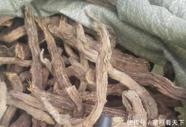 |沙雕动画,搞笑:砸碎了一个黑蛋,从此家里鸡犬不宁