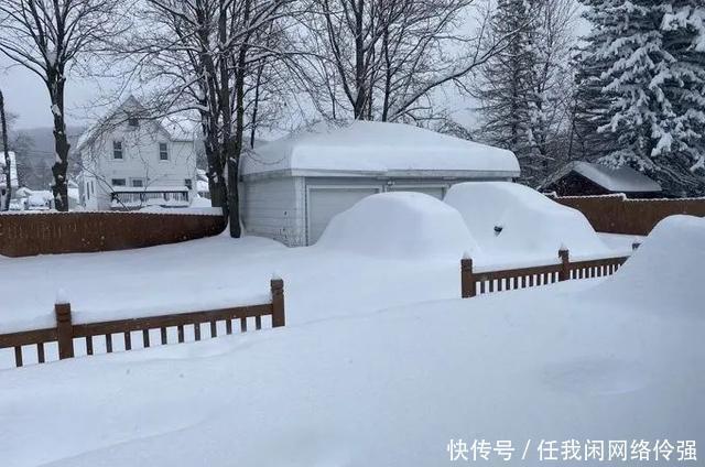 纽约州天降暴雪足足一米厚！车和房全都被埋了，只剩白茫茫！