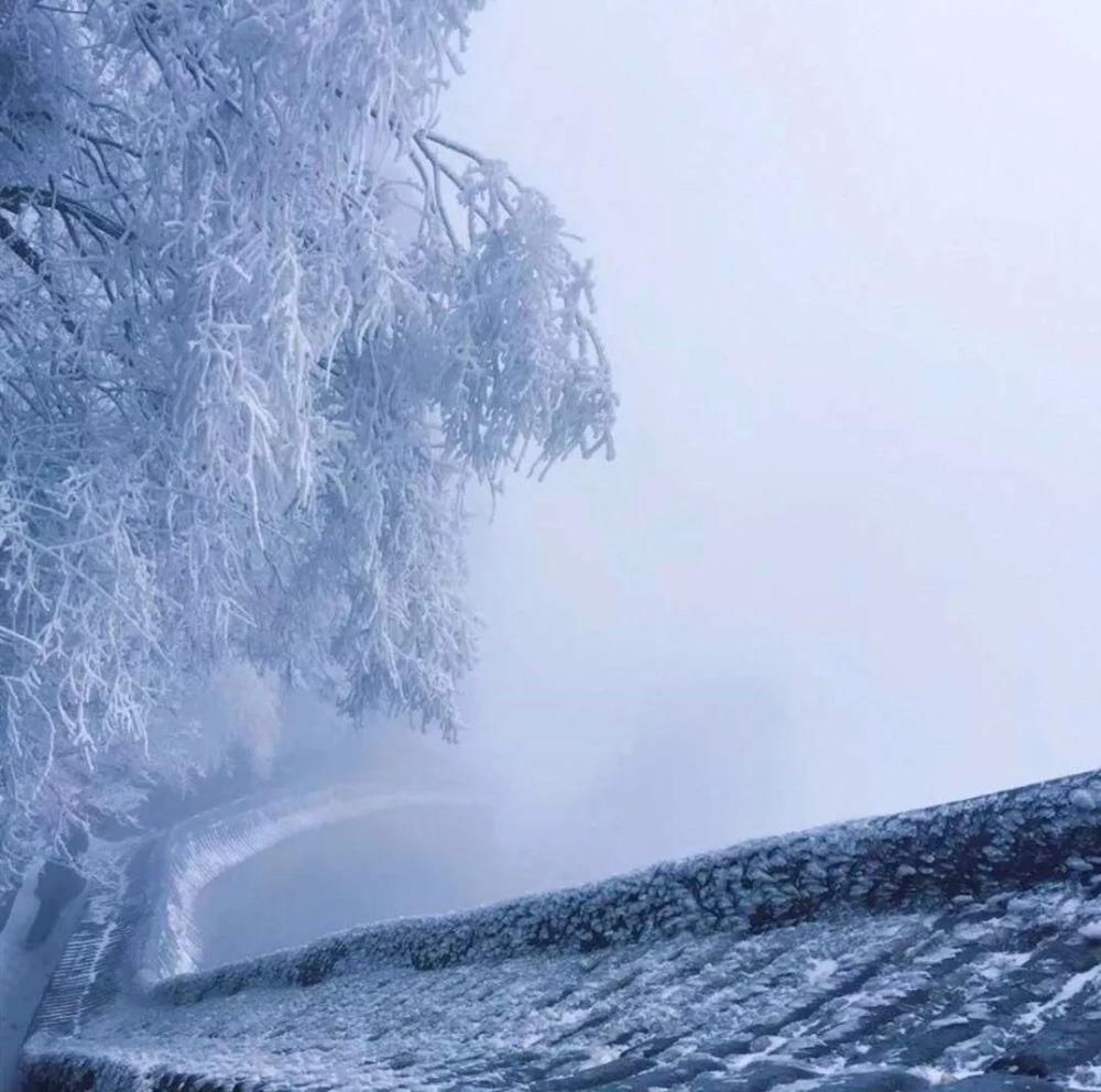 风雪|风雪武当山，仙境藏玄机！大雪封山时，道人、隐士都在干什么！