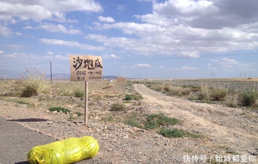 戈壁|长在戈壁石头缝里的西瓜,你吃过吗?