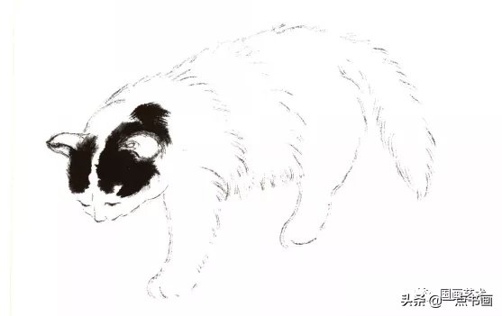 花青#猫的基本画法与步骤