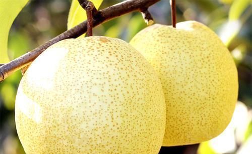 石榴|糖尿病人的“福音”，吃水果记住“4少4多”，血糖稳定身体棒