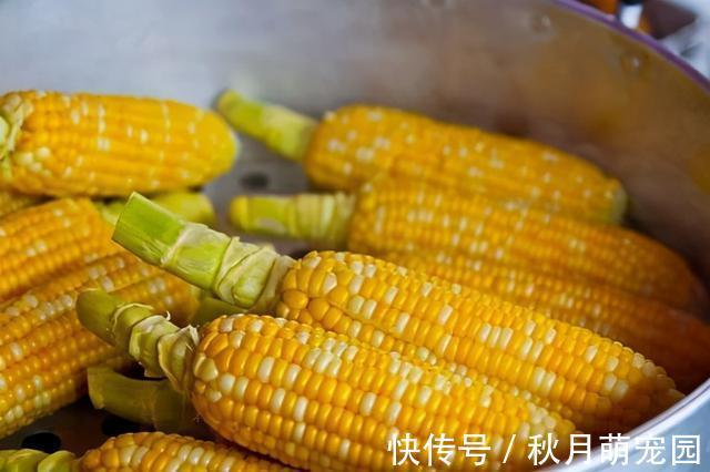 卵磷脂|世界卫生组织批准的“四大长寿食品”,每一种都很常见,人人要吃