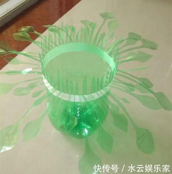 雪碧瓶别丢了,剪个口子拿来养花,一点不比买得花盆差!