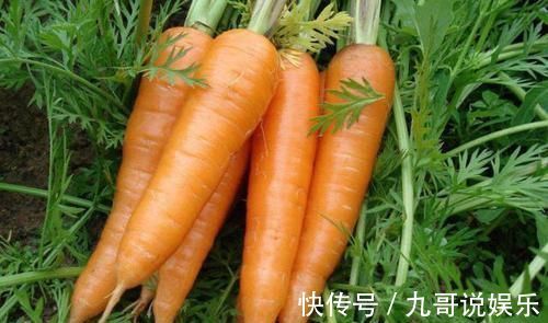 肠胃不好|胃不太好的,牢记多吃1白,少吃3红,修复胃黏膜,肠胃更健康