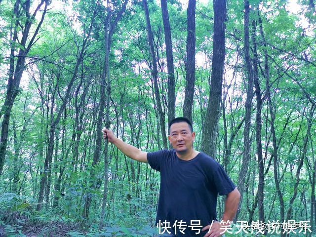 比松树皮更好的兰花植料,生根快、发芽壮,更适合兰菌滋生