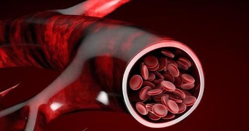 降压药|降压药一定要早上吃？医生告诉你最佳的服药时间