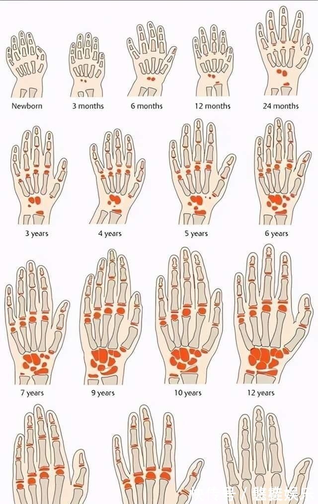 生活环境|孩子能不能长高,与骨龄有很大关系,要给孩子定期测量