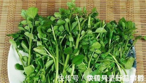 美容|聪明人爱吃3种食物，美容养生、延缓衰老，早吃早健康！
