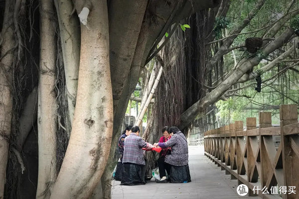 拌面|首先，福建省会不是厦门；其次，好吃当然不止鱼丸粗面！